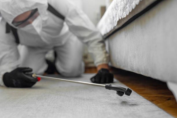Professional Bed Bug Control technician working in Liberty, SC