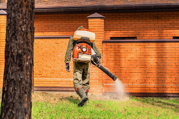 Trusted Ant Control service in Liberty, SC - Nex Pest Control